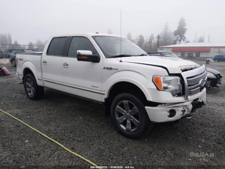 FORD FORD F-150 PLATINUM