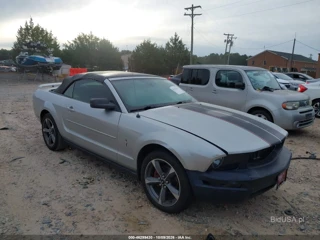 FORD FORD MUSTANG V6