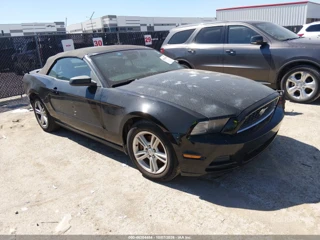 FORD FORD MUSTANG V6