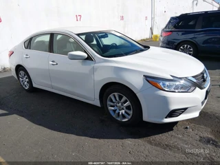 NISSAN NISSAN ALTIMA 2.5/2.5 S/2.5 SL/2.5 SR/2.5 SV