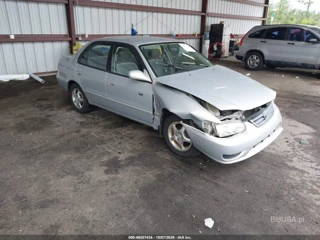 TOYOTA TOYOTA COROLLA LE