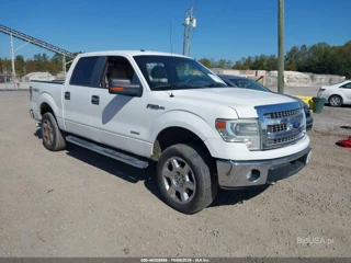 FORD FORD F-150 XLT
