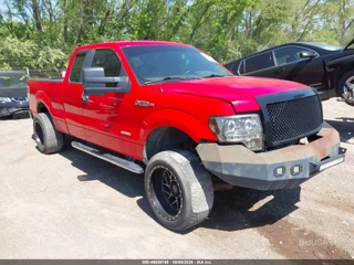 FORD FORD F-150 XLT