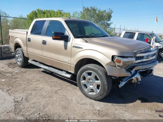FORD FORD F-150 XLT
