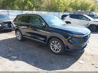 HONDA HONDA CR-V EX-L AWD