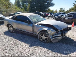 FORD FORD MUSTANG V6 DELUXE/V6 PREMIUM