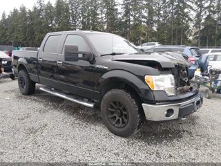 FORD FORD F-150 XLT
