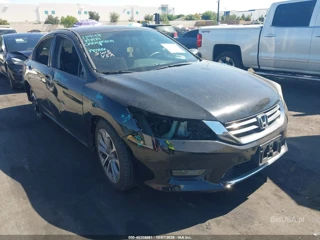 HONDA HONDA ACCORD SPORT