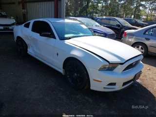 FORD FORD MUSTANG V6