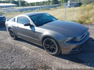 FORD FORD MUSTANG V6
