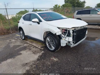 LEXUS LEXUS NX 350 PREMIUM