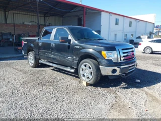 FORD FORD F-150 XLT