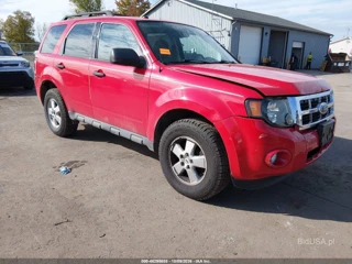 FORD FORD ESCAPE XLT