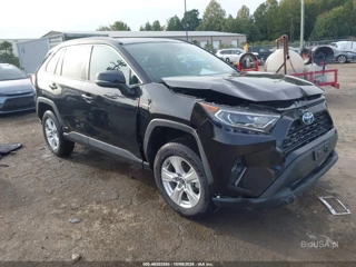 TOYOTA TOYOTA RAV4 HYBRID XLE