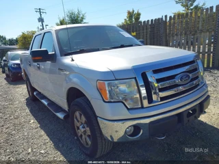 FORD FORD F-150 FX4/KING RANCH/LARIAT/PLATINUM/XL/XLT