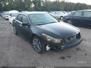 HONDA HONDA ACCORD 3.5 EX-L