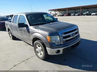 FORD FORD F-150 XLT