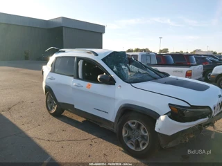 JEEP JEEP CHEROKEE TRAILHAWK 4X4