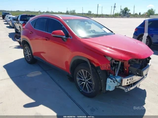 LEXUS LEXUS NX 350 PREMIUM