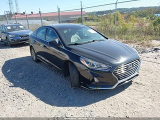 HYUNDAI HYUNDAI SONATA SE