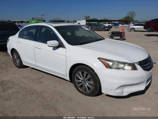 HONDA HONDA ACCORD 2.4 EX-L