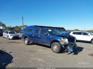 FORD FORD F-150 XL