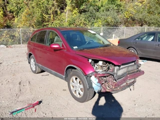 HONDA HONDA CR-V EX-L