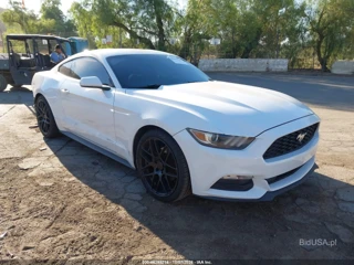 FORD FORD MUSTANG V6