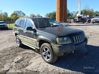 JEEP JEEP CHEROKEE SPORT