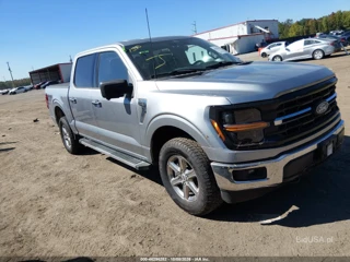 FORD FORD F-150 XLT