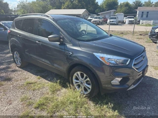 FORD FORD ESCAPE SE