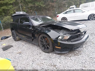 FORD FORD MUSTANG V6