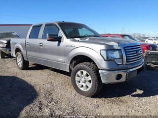 FORD FORD F-150 XLT
