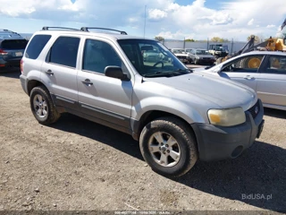 FORD FORD ESCAPE XLT/XLT SPORT
