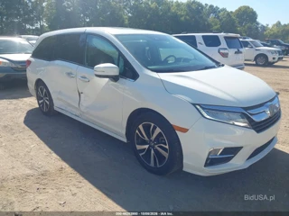 HONDA HONDA ODYSSEY ELITE