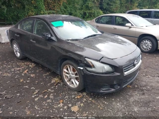 NISSAN NISSAN MAXIMA 3.5 S/3.5 SV