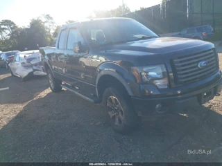 FORD FORD F-150 FX4