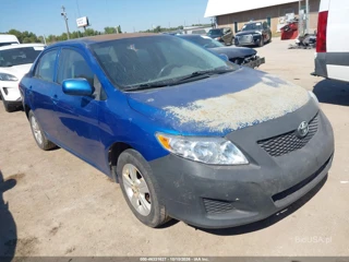 TOYOTA TOYOTA COROLLA LE