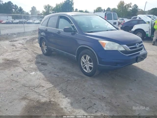 HONDA HONDA CR-V EX