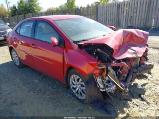 TOYOTA TOYOTA COROLLA LE
