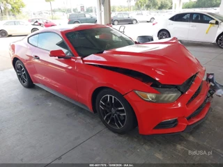 FORD FORD MUSTANG V6