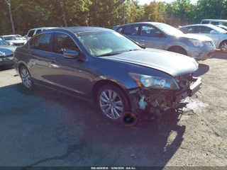 HONDA HONDA ACCORD 2.4 EX-L