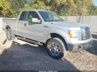FORD FORD F-150 XLT