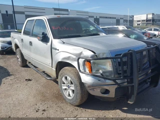 FORD FORD F-150 XLT
