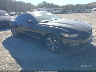 FORD FORD MUSTANG V6