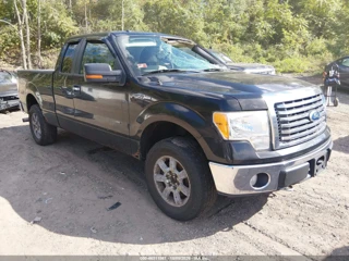 FORD FORD F-150 FX4/LARIAT/XL/XLT