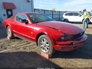 FORD FORD MUSTANG V6/V6 PREMIUM