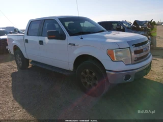 FORD FORD F-150 XLT