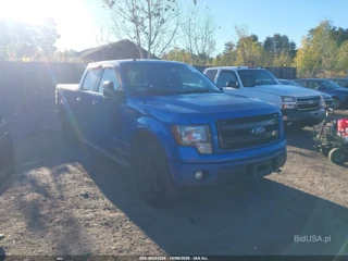 FORD FORD F-150 FX4