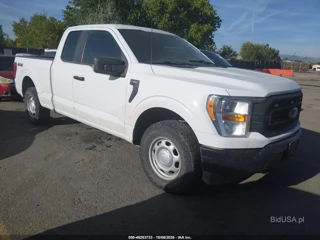 FORD FORD F-150 XL